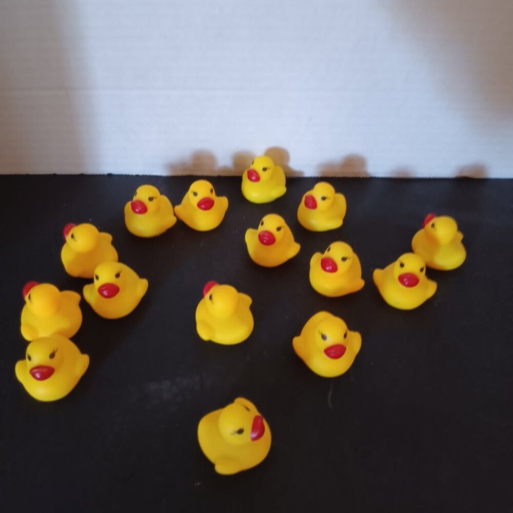 Baby Ducks :) - Picture 4 of 4